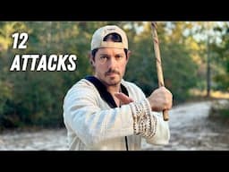 12 Attacks Single Stick - Filipino Martial Arts