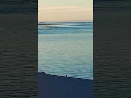 #Sailboats at #Sunset from the #rooftop #LaPaz #Mexico #shorts #travel