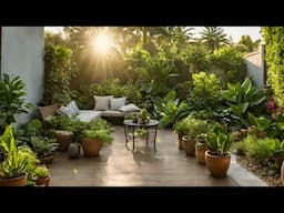 Early Morning Fiddle Leaf Fig Garden Ambience 🪴 Relax, Cozy and Natural Sounds 🌿