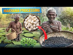 Makhana Processing | How to Start Makhana Processing Business | Profitable Makhana Business Idea