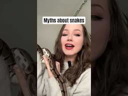 Biggest myths about snakes you may believe! #snakes #reptiles #myths