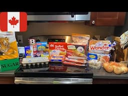 Canadian Grocery hauls with Prices. Walmart and M&M Foods.  Food prep/Truck chat/Accidents.