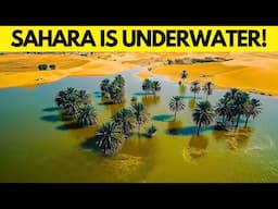 The Strange Sahara Desert Flood: You Won’t Believe What Is Happening