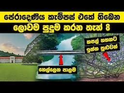 පේරාදෙණිය කැම්පස් එකේ තිබෙන ලොවම පුදුම කරන තැන් 8 | University of Peradeniya #wishwadanuma #iq