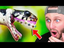 Weird Things You Have Never Seen Before