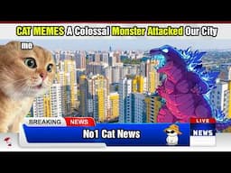 CAT MEMES: A Colossal Monster Attacked Our City