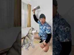 What Happens When Asian Dad Pets a Dog