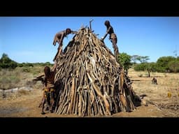 A House from Forest Sticks - Full Build - Hamer of Ethiopia