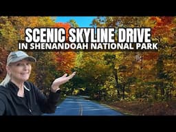 Epic Fall Drive in Shenandoah National Park on Skyline Drive with Hiking and Overlooks