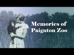 Memories of Paignton Zoo