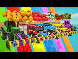 Bingo Song + Old MacDonald, Baby cars fruit and soccer balls - Baby Nursery Rhymes & Kids Songs