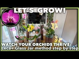 🌿 HOW TO GROW ORCHIDS IN LECA + GLASS: Ultimate Guide to Boost Blooms + Care Questions Answered!