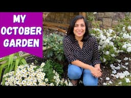 Late Fall Garden Tour | Zone 6B Gardening | October Garden Tour 2020