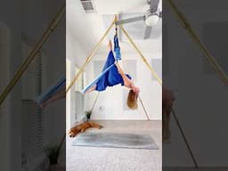 Try this aerial yoga flow! 👉💃 #aerialhammock