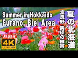 夏の北海道の富良野、美瑛の風景 Summer scenery in Furano, Biei, Hokkaido 北海道観光 旅行 富良野観光 ファーム富田 四季彩の丘 ラベンダー畑 花の名所