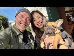 JAPANESE LUNCH At a DOG CAFE | 🛵 NOV  9, 2024  | LIVE