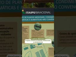 Projeto conserva plantas medicinais - Negócios da Terra (09/11/2024)