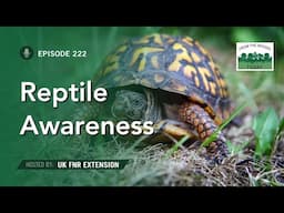 Reptile Awareness Day - From the Woods Today - Episode 222