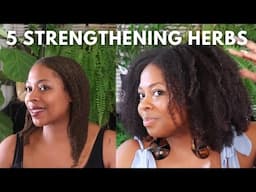 5 Herbs for Stronger and Longer Hair|Herbal Hair Growth Challenge Week 11