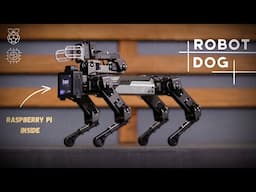 Meet My New Pet Dog Robot | CM4 XGO Robot