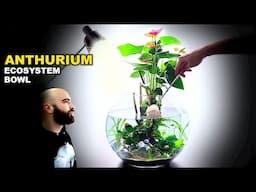 Anthurium Ecosystem Bowl: AMAZING No Filter Aquarium (Aquascape Tutorial)