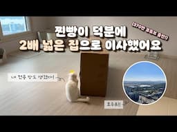 사람 방보다 고양이 방이 더 넓어졌어요~!!