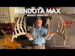 THE LARGEST WHITETAIL BUCK. #whitetaildeer #antlers #deer