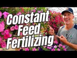 What is Constant Feed Fertilizing?  #fertilizing #plantfood #plantcare