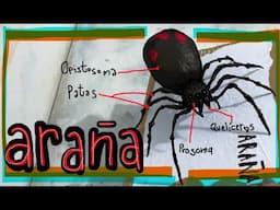 Araña Maqueta de Papel