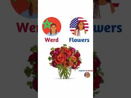 Plural Nouns (Flowers/Books/Cups) in Moroccan Arabic (Darija) & American English