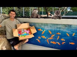 SURPRISING MY BABY OTTERS WITH GIFTS! *CUTE*