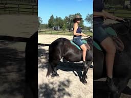 Riding Balanced Bitless & Bareback, Part II - mind-body awareness