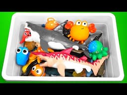 Sea Animal Toys for Kids - Guess Sea Animals Names - Sea Animals for Kids