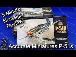 Accurate Miniatures 1/48 P-51 series | Nostalgia 5 Minute Review