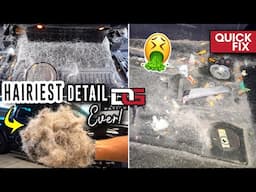 Deep Cleaning The HAIRIEST Harley Davidson F-150!