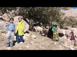 Picking oak by a nomadic family