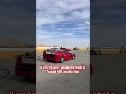 Ever wondered what a Ferrari F40 sounds like? #ferrari #f40 #ferrarif40