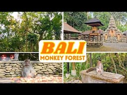 How to Visit the Sacred Monkey Forest in Ubud, Bali