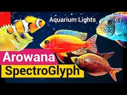 Arowana SpectroGlyph | AQUARIUM LIGHTS | AQUAGIC | AQUARIUM EXHIBITION | AQUARIUM | FISH TANKS