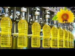 Mega Sunflower Oil Factory | How Sunflowers are Harvested & their Oil Extracted