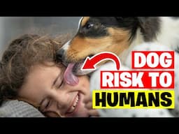 10 Diseases Dogs Can Transmit To Humans