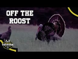 STRUTTING GOBBLER off the ROOST | Realtree Spring Thunder