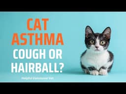 Cat asthma