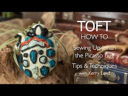 How to Sew Up Johan the Picasso Bug