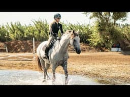 My ONE EYED HORSE Goes Off-Property Schooling | ZL Equestrian