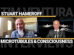 Stuart Hameroff – Microtubules & Quantum Consciousness