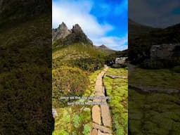 🔥The Overland Track Tasmania | Day 4 Highlights #trail #besthikes