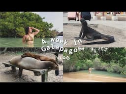 7 Days in Galapagos (Isabela, Santa Cruz) | travel vlog