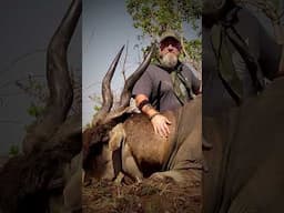 Giant Livingstons Eland hunt!  #untamed #hunting #bowhunting #zimbabwe #huntingeland