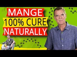 How To Treat Mange In Dogs Naturally (100% Effective Home Remedy)